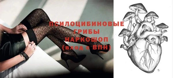 прущие грибы Вязьма