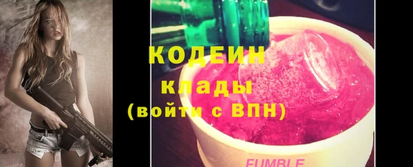 МДПВ Вяземский