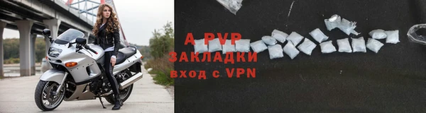 прущие грибы Вязьма