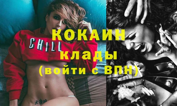 прущие грибы Вязьма