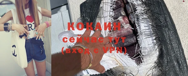 прущие грибы Вязьма