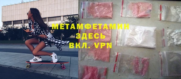 прущие грибы Вязьма