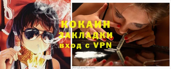 МДПВ Вяземский
