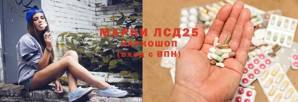 МДПВ Вяземский