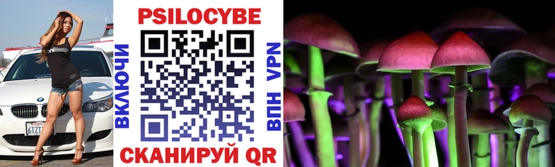 Псилоцибиновые грибы прущие грибы  mega как войти  Севастополь 